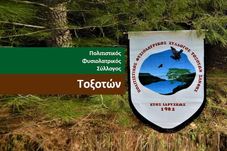 Τμήμα παραδοσιακών χορών στον Πολιτιστικό Φυσιολατρικό Σύλλογο Τοξοτών
