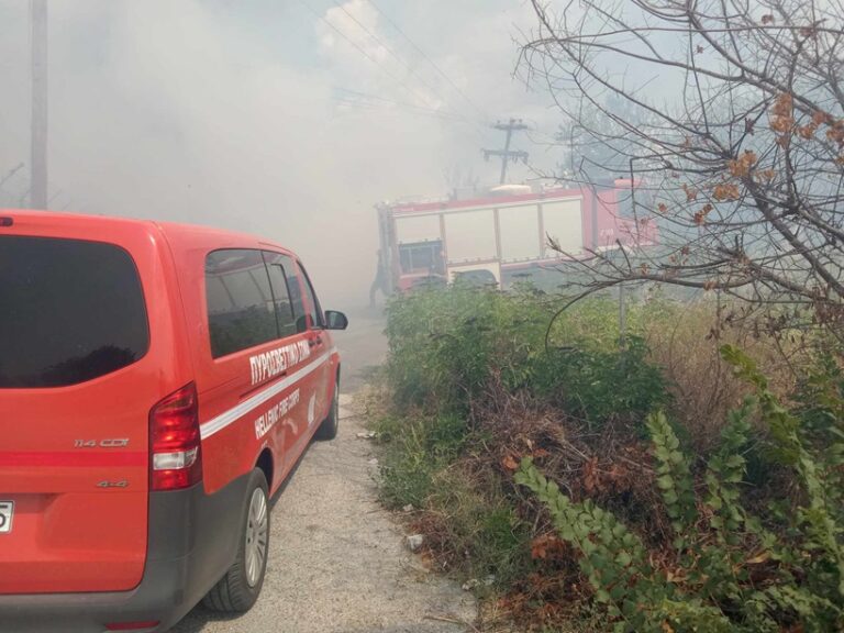 Πυρκαγιά σε δασική έκταση στους Τοξότες – Άμεση η κινητοποίηση της Πυροσβεστικής. Απέτρεψε τα χειρότερα
