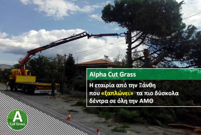 Μια από τις πιο οργανωμένες εταιρίες κοπής δέντρων της ΑΜΘ, έχει έδρα στην Ξάνθη