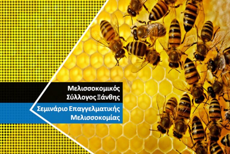 Μελισσοκομικός Σύλλογος Ξάνθης – Σεμινάριο επαγγελματικής Μελισσοκομίας